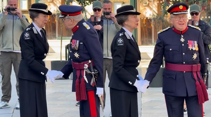 Princess Anne joins celebration in Clerkenwell with handshake