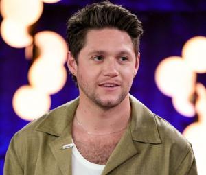 Niall Horan reveals deep meaning behind new single 'Little More Time'