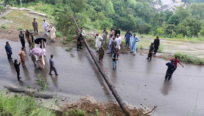 Residents gather after a road was blocked by a fallen tree amid heavy rains in Muzaffarabad on Aug 15, 2025. — Reuters