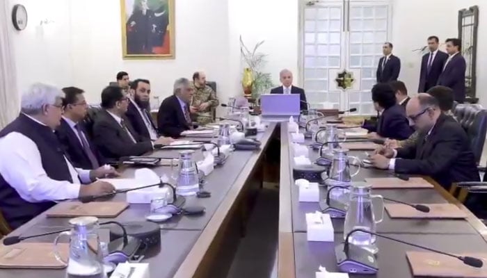 Prime Minister Shehbaz Sharif chairs high-level meeting to review petroleum reserves in Islamabad on April 13, 2025. — Screengrab via X/@PakPMO