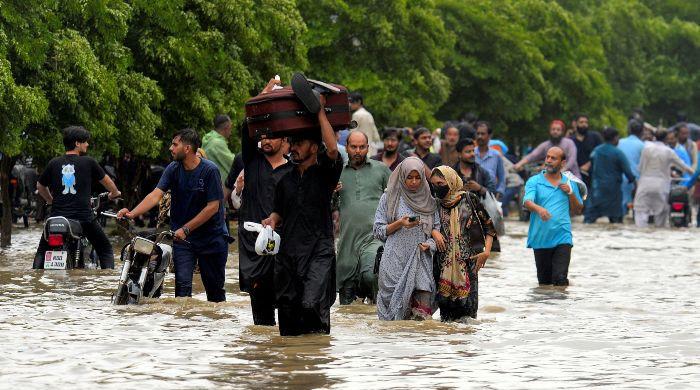 The law is failing the environment