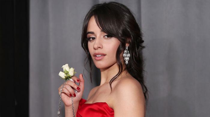 Camila Cabello shares personal message with fans on special day 