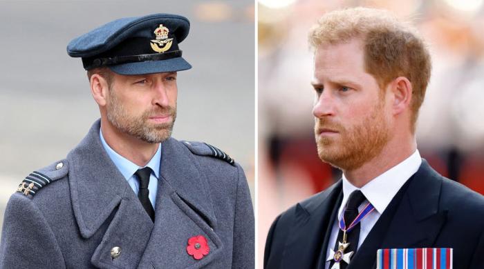 Prince William makes final call on Harry's arrival at Palace 