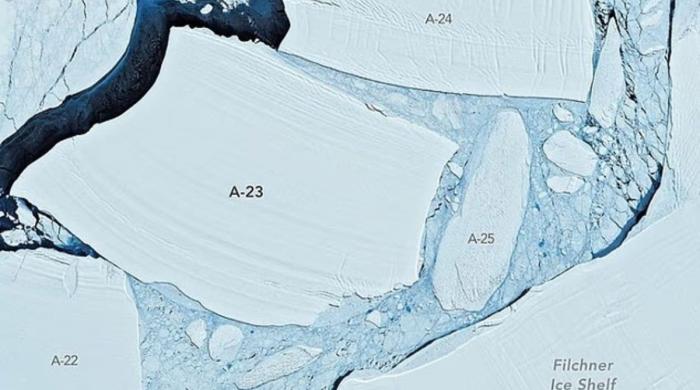 World's largest iceberg A-23A breaks apart ahead of its 40th birthday