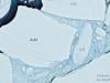 World's largest iceberg A-23A breaks apart ahead of its 40th birthday