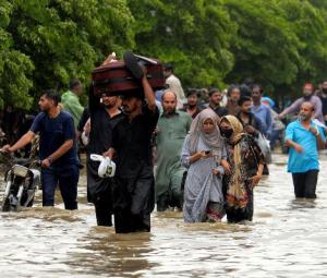 The law is failing the environment