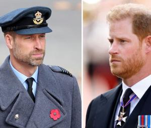 Prince William makes final call on Harry's arrival at Palace 