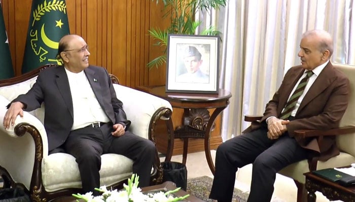 Prime Minister Shehbaz Sharif calls on President Asif Ali Zardari at Aiwan-e-Sadr, Islamabad, on April 14, 2026. — Screengrab via X/@PresOfPakistan