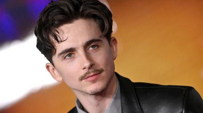 Timothée Chalamet criticism leads to unexpected rise in theatre