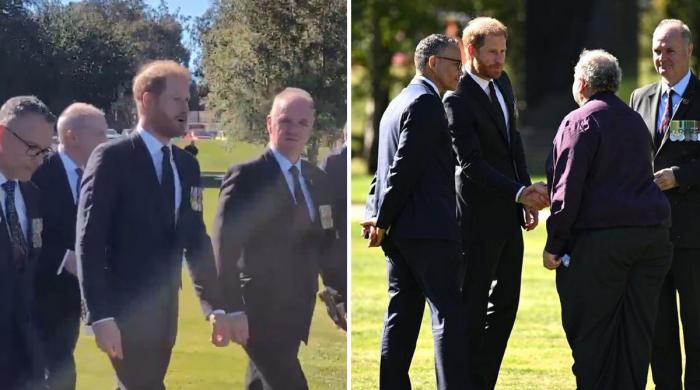 Prince Harry leaves out Meghan from key ceremony honouring royal roots