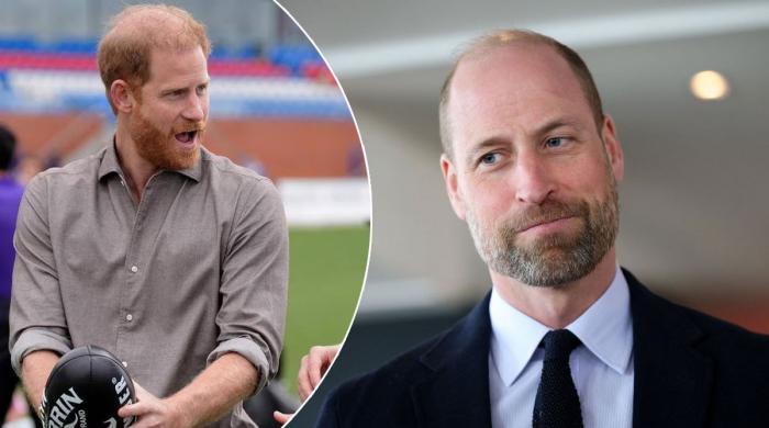 Prince William receives shoutout from Prince Harry during sweet moment
