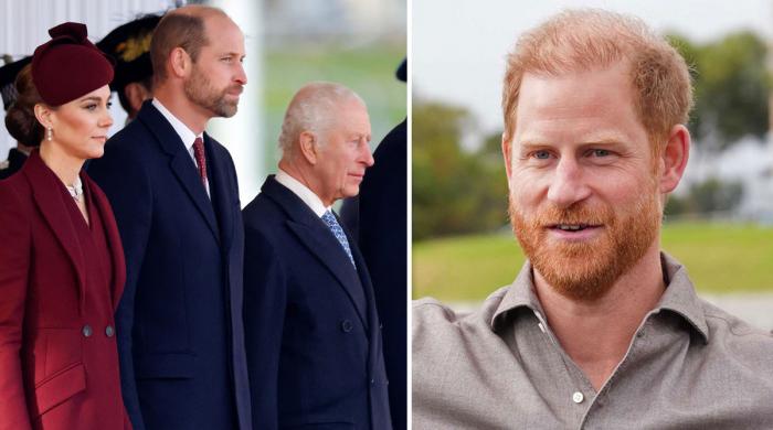 King Charles sidelines Prince William as plan to forgive Harry disclosed
