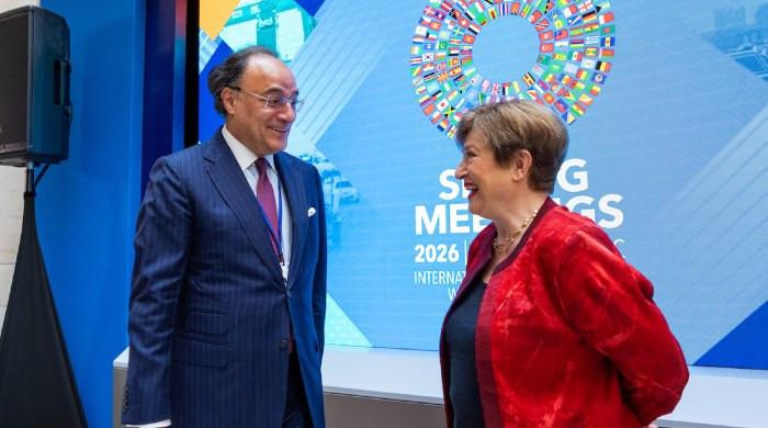 IMF chief credits Pakistan's strong programme implementation for economic stability