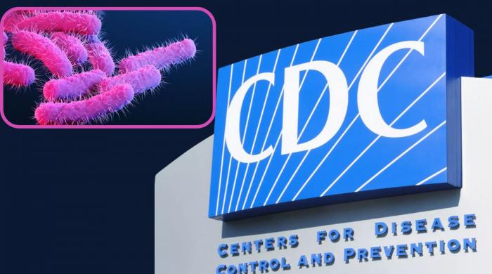 CDC issues warning over drug-resistant shigella infections across America