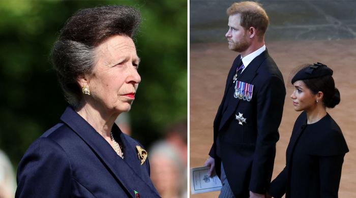 Princess Anne receives concerning news after Harry, Meghan key appeal