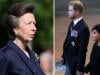 Princess Anne receives concerning news after Harry, Meghan key appeal