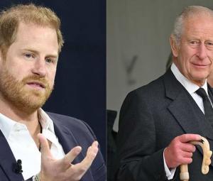 King Charles, Prince William 'angered' by Harry, Meghan: 'Monetising titles'