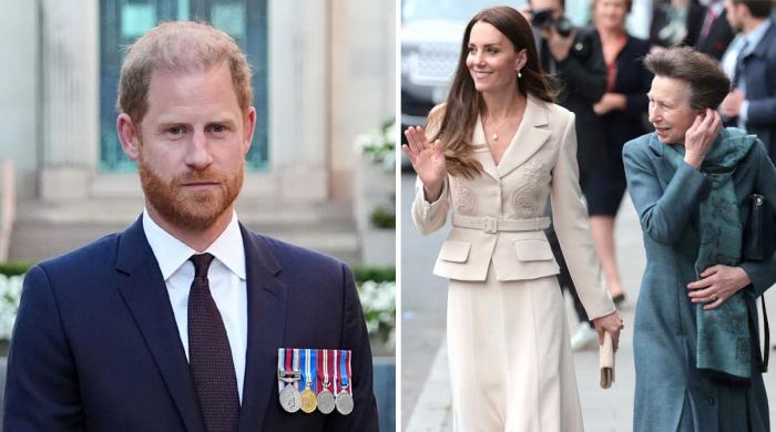Prince Harry team makes key statement after Palace confirms reunion