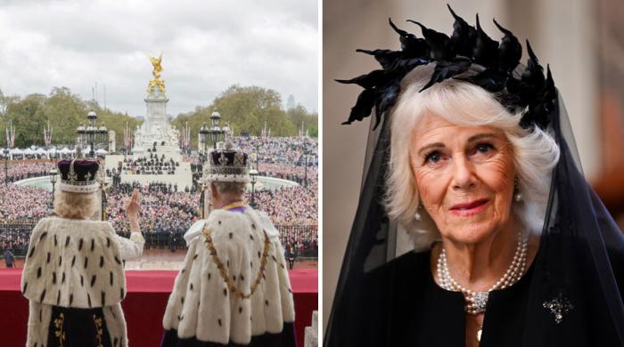 Queen Camilla protects King Charles reign with painful sacrifice 