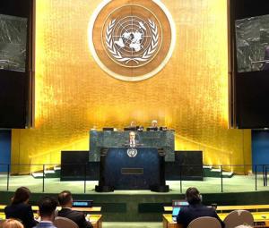 Pakistan calls for swift restoration of Strait of Hormuz shipping at UN