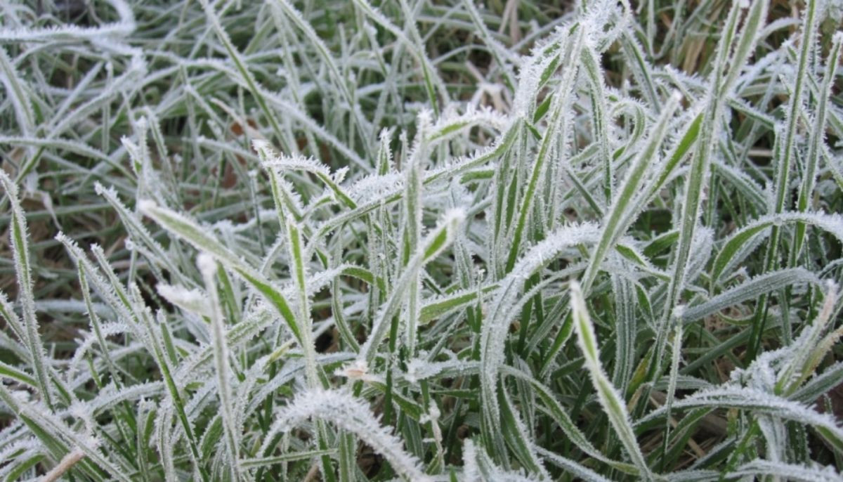 Freeze watch issued across US: Here's complete list of affected areas 