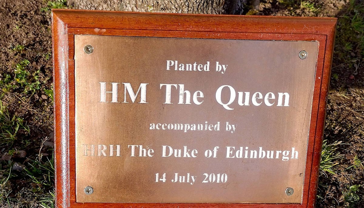 Princess Anne revisits Queens tree before enjoying evening music