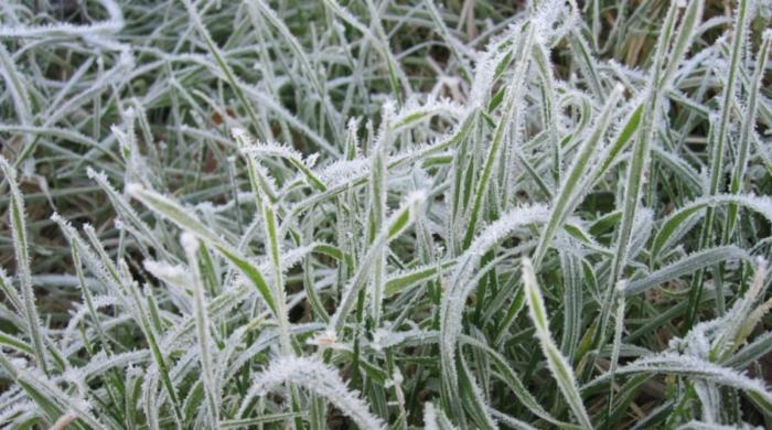 Freeze watch issued across US: Here's complete list of affected areas 