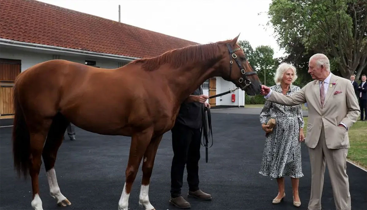 King Charles and Camilla embrace thrill of horse racing in new era 