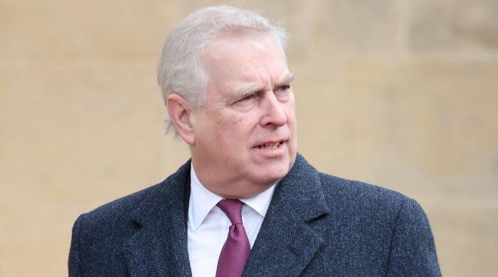 Andrew ‘secret' bargaining chip in Epstein investigation: Shocking details