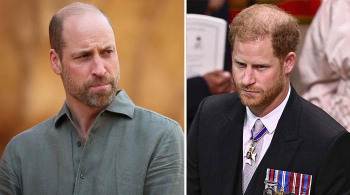 Prince William turns down Harry's plea: 'No more extra royals' 