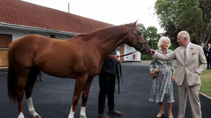 King Charles and Camilla embrace thrill of horse racing in new era 