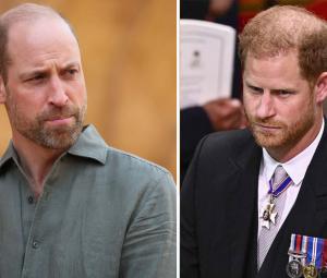 Prince William turns down Harry's plea: 'No more extra royals' 