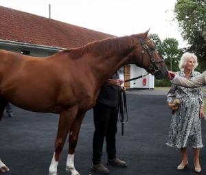 King Charles and Camilla embrace thrill of horse racing in new era 