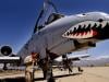 US air force's A-10 Warthog spared retirement even after reported loss in Iran war
