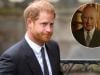 Prince Harry shares new message after King Charles confirms key royal team