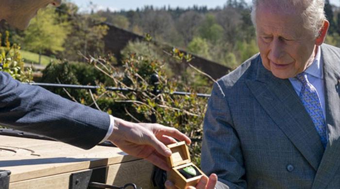 King Charles receives special surprise for protecting nature
