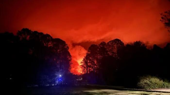 Georgia wildfires spreads across 30,000 acres: See which areas are at risk  