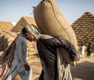 Sindh announces public holiday on May 1