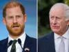 Prince Harry breaks silence after King Charles warning: 'Strict action'