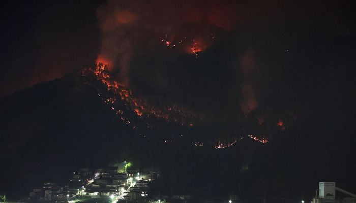 A forest fire continues to spread in Otsuchi Town, Iwate Prefecture on April 23, 2026. — AFP
