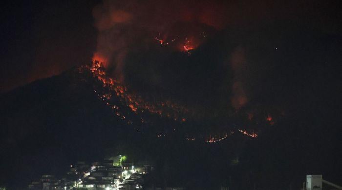 Hundreds of firefighters battle Japan forest blazes