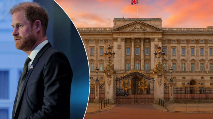 Buckingham Palace issues statement hours after Harry reaffirms royal status