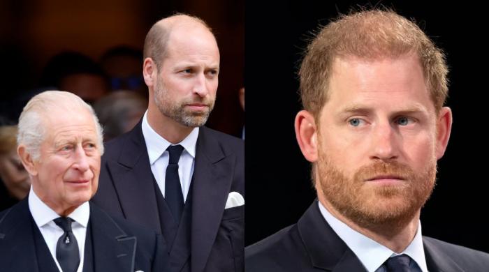 King Charles declines Prince Harry offer to support William's mission