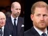 King Charles declines Prince Harry offer to support William's mission