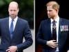 Princes William, Harry receive news about upsetting move in King's visit