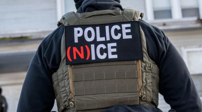 Trump renames ICE to 'NICE' so journalists are forced to say 'Nice agents'