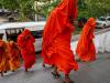 How did 22 Buddhist monks get caught smuggling 242 pounds of Cannabis?