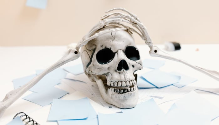 Image shows a fake skull on papers. — Pexels