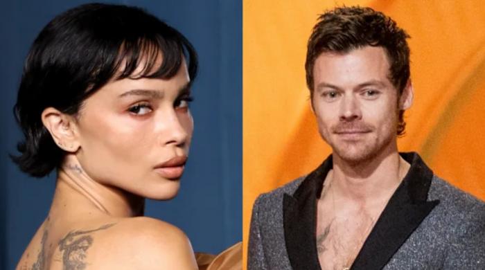 Harry Styles and Zoe Kravitz take major step after 8 months of dating