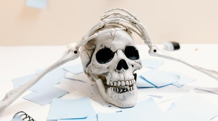 Indian man brings dead sister's skeleton after bank asks for account holder